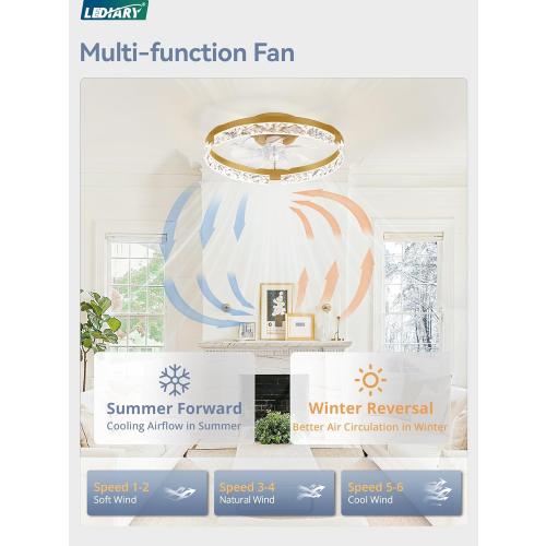 LEDIARY 20 Inch Low Profile Ceiling Fans with Lights and Remote, Fandelier Ceiling Fan Flush Mount, 3000K-6000K Dimmable LED Fan Light, Gold Modern Ceiling Fans with Lights for Bedroom