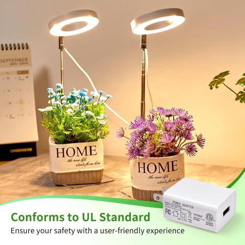 2 Pack Brightown Plant Grow Light, LED Growing Light for Indoor Plants, 2 Head 96 LED Adjustable Height Growing Lamp with Timer, 3 Dimmable Brightness Levels, Low Safe Voltage, Perfect for Small Plants