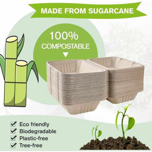 ECOLipak 75 Pack Clamshell Take Out Food Containers, 100% Compostable To Go Containers Disposable, 9X6 inch Heavy-Duty To Go Boxes, Eco-Friendly Biodegradable To Go Containers For Food