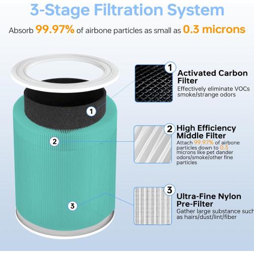 Core 600S Toxin Absorber Replacement Filtër for LEVOIT Core 600S/600S-P | 3 in 1 Powerful Particle & Activated Carbon Core 600S-P Filter for Wildfire Smoke Household Odors, Core 600S-RF-TX, 2P, Green