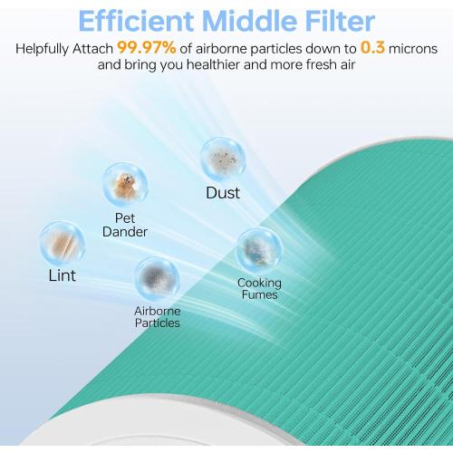 Core 600S Toxin Absorber Replacement Filtër for LEVOIT Core 600S/600S-P | 3 in 1 Powerful Particle & Activated Carbon Core 600S-P Filter for Wildfire Smoke Household Odors, Core 600S-RF-TX, 2P, Green