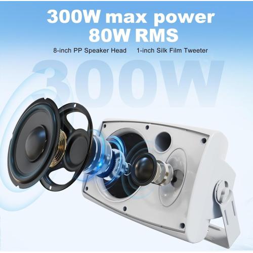 Herdio 8 Inch 600W Outdoor Speakers Passive Waterproof Wired with Powerful Bass, Wall Mount Durable Loud Sound System | Ideal for Large Spaces: Commercial Areas, Spacious Backyards, Auditorium (White)