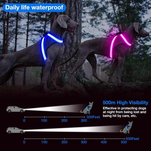 ChalkLit Light Up Dog Harness, No Pull Led Dog Harness Glow-in-The-Dark for Night Walking, USB Rechargeable Lighted Safety Vest for Medium Large Dogs, Adjustable Soft Mesh Fully Illuminated (Blue, L)