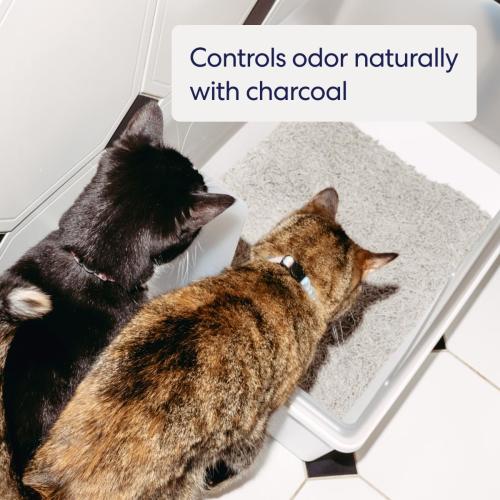 9.25lbs Per Bag, 2 Pack Tuft & Paw Really Great Cat Litter, Low Tracking Tofu Cat Litter, Clumping, Flushable, Odor Control, Dust-Free, Unscented - 9.25lbs x 2Bags