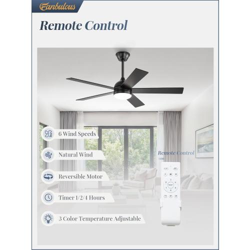 Fanbulous 48 Inch Ceiling Fan with Light and Remote, Black