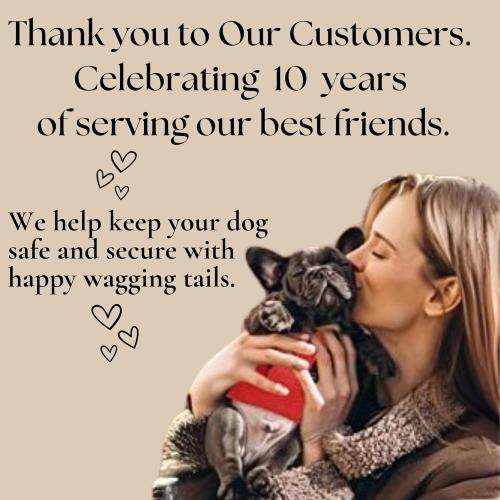 EcoBark Step in Dog Harness - Eco-Friendly Toy Breed Dog Harnesses for XS and Small Dogs - Reflective and Adjustable Mini Body Halter Vest -Tiny Soft Mesh Toy Breed Harness (Black, Small)