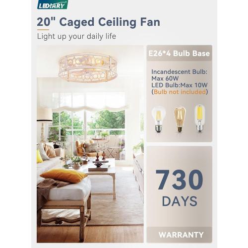 LEDIARY 20in Caged Low Profile Ceiling Fan Light with Remote White Gold