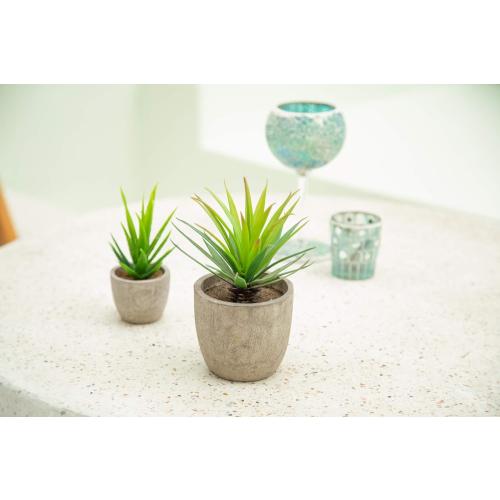 Velener Mini Home Decoration Aloe Vera Artificial Plants with Paper-Mache Pots (Set of 2), 7 inches and 5 inches, Faux Plants for Living Room, Kitchen, Bedroom, and Office Decor…