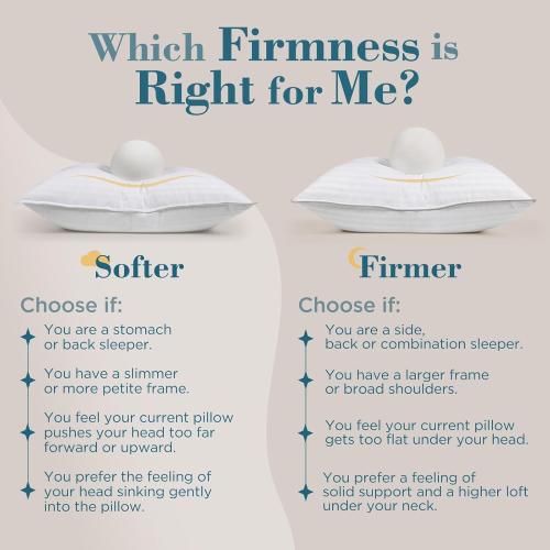 viewstar Bed Pillows Queen Size Set of 2, Hotel Collection, Down Alternative Pillow for Back, Stomach or Side Sleepers, Soft