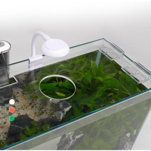 Vimvins 5 Gallon Glass Small Fish Tank with Filter Light and Lid, Betta Aquarium Starter Kits