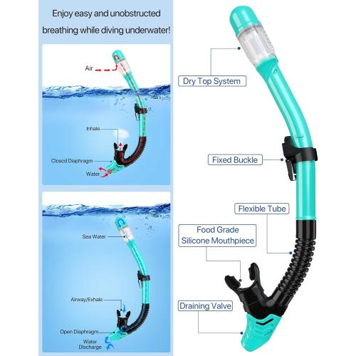 Snorkeling Gear for Adults Men Women,4 in 1 Snorkel Set with Panoramic View Diving Mask Anti-Fog Anti-Leak,Dry Top Snorkel,Fins and Travel Bag for Swimming,Snorkeling and Travel Diving