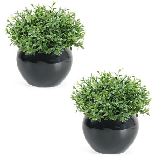 Velener Fake Sage Plants for Shelf Decor, Small Artificial Succulents Grass Desk Plant for Office Women, Mini Faux Plant Indoor, Masculine Home Decor, Coffee Table Decor, Bathroom Decor (2 Pack)