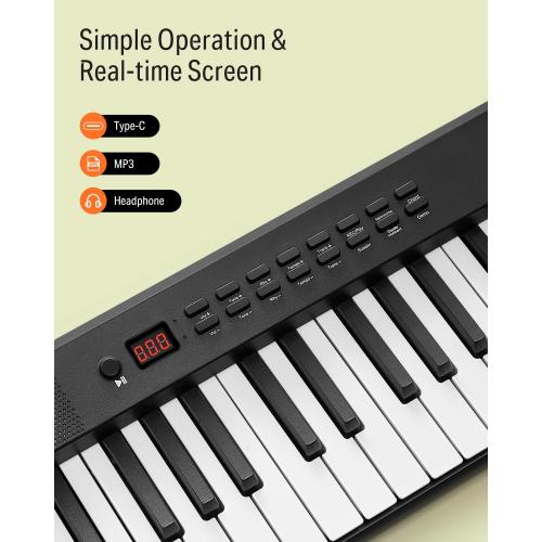 Donner DP-10 Portable Piano Keyboard 88 Keys for Beginner, Bluetooth Foldable Piano Keyboard with 128 Rhythms&Tones, Chord, Record, Drum Kit, Folding Digital Piano Bundle with Pedal, Piano Bag, Black