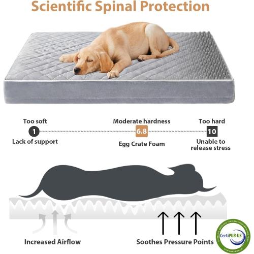 Size XL Color White WNPETHOME Orthopedic Dog Beds for Large Dogs, Extra Large Waterproof Dog Bed with Removable Washable Cover, Egg Crate Foam Pet Bed, XL Dog Crate Bed