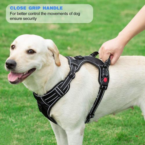 Size Large Neck: 18-25.5, Chest: 25.5-31 Color Black No Pull Harness with A Free Heavy Duty 5ft Leash for Medium Large Dog Adjustable Reflective Oxford Easy Control (L (Neck: 18-25.5, Chest: 25.5-31), Black/Blue Harness Leash)