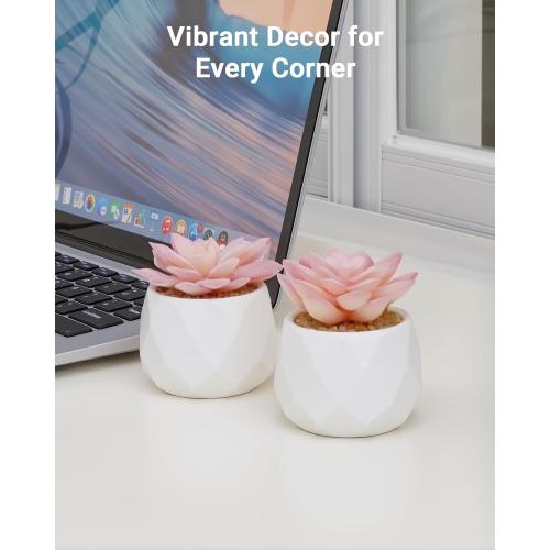 VIVERIE Mini Succulents Plants Artificial in Pots-Rose Pink, Christmas Small Fake Succulents Plants for Home Decor Indoor for Women, White Ceramic Faux Succulents, Set of 2, Gifts for Mom