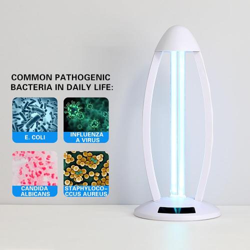 Night Light Glass Light Bulb Universal UV-C Bedside Lamps - Bedroom Lamps,Bed Lamp,Uvo Lamp Spaces up to 450 Square,Fresh Air and Improve Sleep Quality - Bedroom Lights (60W-BK*1)