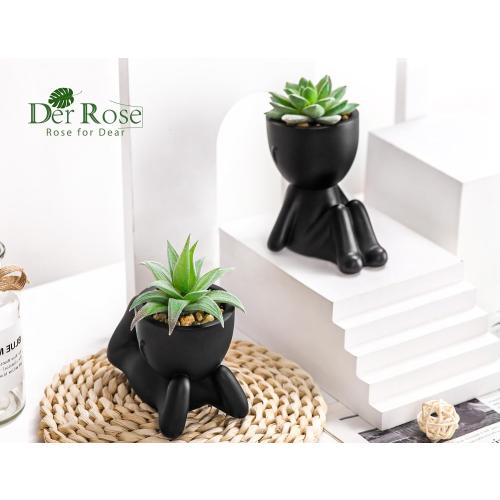 Der Rose Set of 2 Color Black  Fake Plants Artificial Succulent Plants for Office Desk Accessories Black Bathroom Home Room Aesthetic Decor Indoor