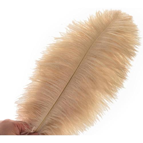 Ballinger Large Champagne Ostrich Feathers - 24pcs 12-14inch Boho Feathers for Vase and Home Decor Wedding Party Centerpieces