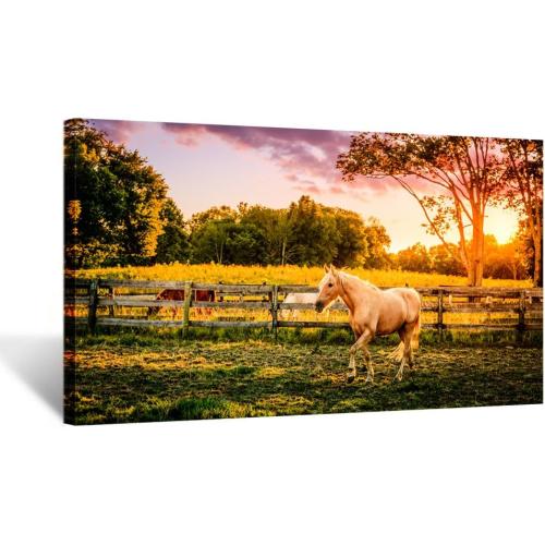 KREATIVE ARTS - Large Size Horse of a Farm Canvas Prints Wall Art Picture Modern Sunset Landscape Wild Animal High Definition Print Painting for Hotel Wall Decor Ready to Hang 20x36inch