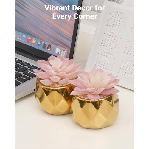 VIVERIE Mini Succulents Plants Artificial in Pots-Pink with Golden Ceramic, Christmas Small Fake Succulents Plants for Home Decor Indoor for Women, Set of 2, Gifts for Mom