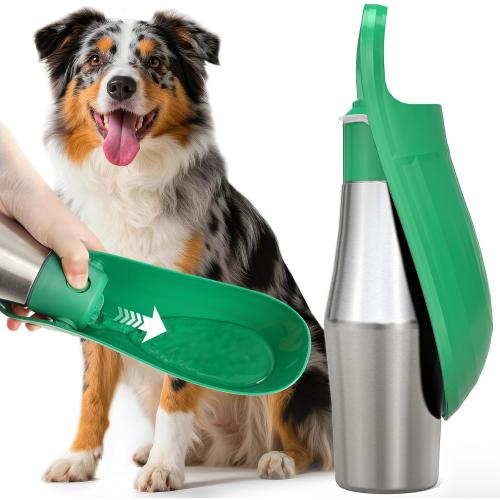 Stainless Steel Dog Water Bottle - 27 oz