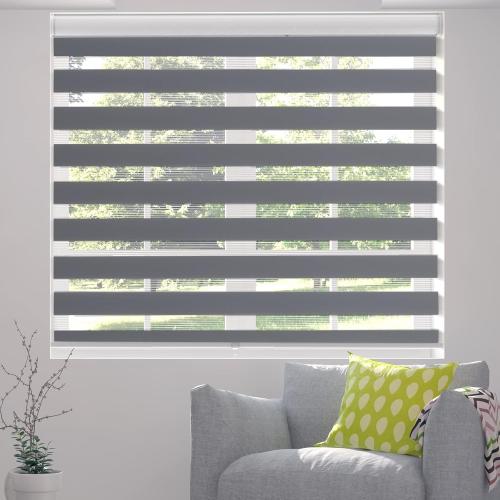Zebra Blinds, Cordless Blinds for Windows, Roller Shades, Double Layered, Sheer Privacy or Light Filtering Shades for Day and Night, Window Blinds for Home, Office, Kitchen, 25W X 72H, Grey