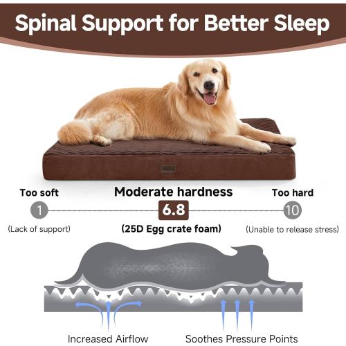 OhGeni Orthopedic Waterproof & Machine Washable Dog Bed for Medium Large Pets, Cat Mat with 25D Egg Crate Foam, Non-Slip Bottom & Removable Cover, 36 Inches(Brown)