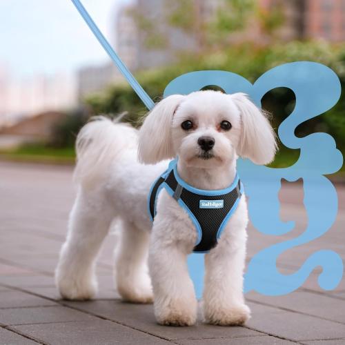 rabbitgoo Dog Harness Small Sized and Leash Set, Step in Soft Vest