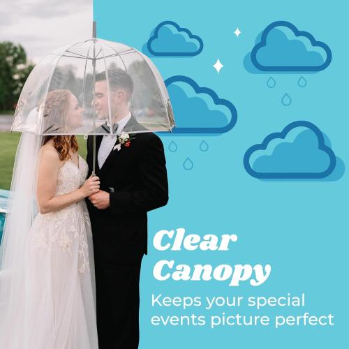 totes Adult Clear Bubble Umbrella with Dome Canopy and Lightweight Wind and Rain Protection