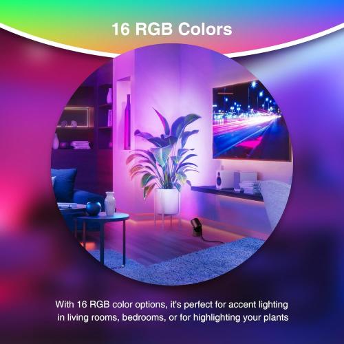 Black 4 Pack 6W RGBW Up Lights Indoor Christmas Spotlight Indoor LED Color Changing Uplighting Indoor with Remote 120V Spot Lights Indoor Plug in Floor Spotlight Indoor for Plant Picture Party, 4 Pack