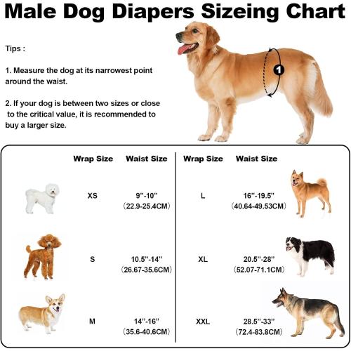 Washable Dog Diapers Male Reusable, Premium Belly Bands for Male Dogs Small, Pack of 3, High Absorbing Small Male Dog Pee Wraps for Doggie in Incontinence or Excitable Urination and Training(S)