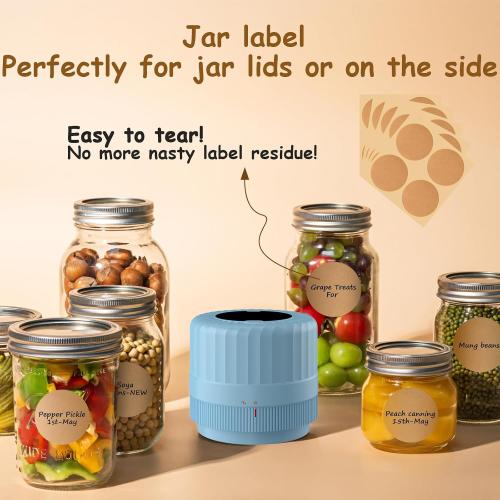 Electric Mason Jar Vacuum Sealer - Fully Automatic Mason Jar Vacuum Sealer Kit for All Mason Jars with Regular Lids and Wide Mouth Lids, A Must-Have Tool for Canned Foods/Pantry - Blue