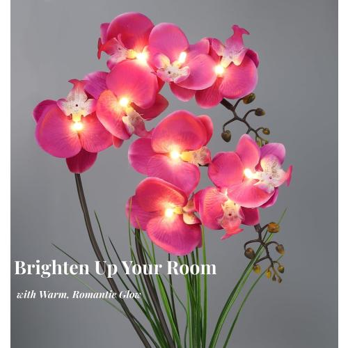 HOMESEASONS Orchid Lamp-LED Lighted Orchid Arrangements,Pre Lit Artificial Orchid,Light Up Flower Lights, Faux Orchid Phalaenopsis Arrangement (Purple)