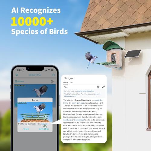 Bird Feeder with Camera, 1 Year Trial AI Identify, Birds Watching Camera with 4 DIY Add-ons, Smart Birds Cam with Solar Panel for Outdoor, Auto Record Videos, Gift for Bird Lover