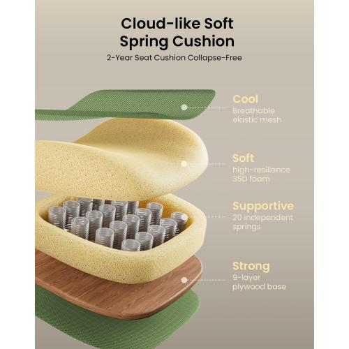 ProtoArc Ergonomic Office Chair, EC100 Big and Tall Desk Chair with Wintex Breathable Mesh, 30% Thicker Saddle Spring Cushion, Lumbar Support, Adjustable Headrest, Armrest - Gradient Green