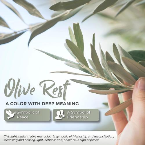 Handmade 2.9 Keepsake Urn with Premium Gift Box & Funnel - A Small Urn for Ashes for Women & Men - Beautifully Presented Small Urns for Human Ashes Keepsake Size (Olive Rest Color)