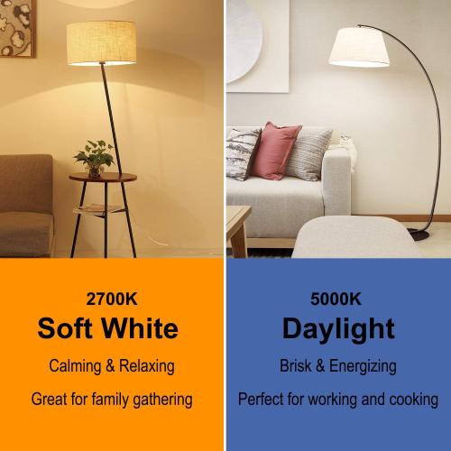 11 ST64 Large Vintage LED Edison Bulbs, 60W Equivalent 7W, 800Lumens, Dimmable Antique LED Filament, 2700K Warm White, E26 Medium Base Light Bulbs High Brightness Clear Glass for Bedroom Office