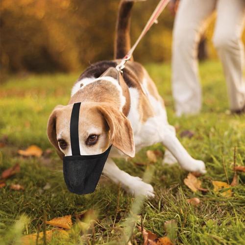 Dog Muzzle, Soft Mesh Covered Muzzles for Small, Medium, Large and X-Large Dogs, Muzzle with Adjustable Straps, Prevent Barking, Biting, and Accidental Ingestion (Black, X-Small)