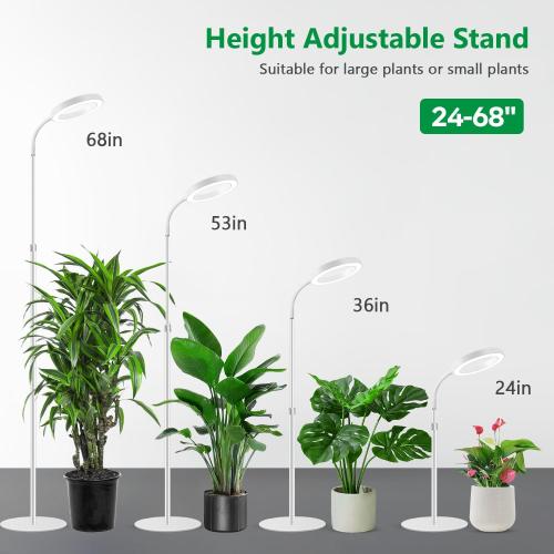 Aumtrly Floor Grow Light Full Spectrum with 68 Stand for Tall Indoor Plant | 80 LED Growing Lamp for Large Plants with 6/12/16H Timer, 5 Dimming, White Halo Design, Adjustable Height, Flexible Gooseneck