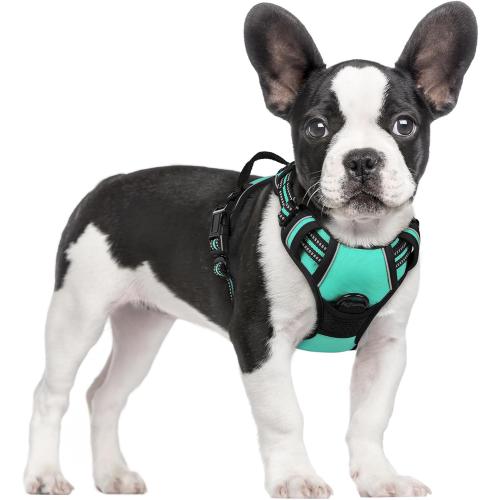rabbitgoo Dog Harness No Pull with 2 Leash Clips, Adjustable Soft Padded, Reflective Oxford No Choke Pet Vest with Easy Control Handle for Small Dogs, Turquoise, S
