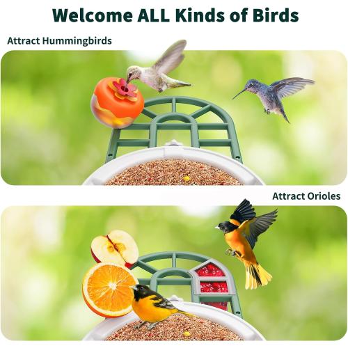 Bird Feeder with Camera with AI Identify Birds Species Solar Powered, Smart Bird House with Cam, 2K HD Video Live Stream, Instant Arrival Alerts - Green