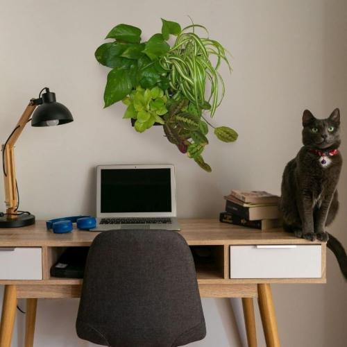 Wall Planter | Bustani 2x4 Vertical Garden | 8 Pot Living Wall Planter - Easy to Create Indoor Living Wall for Home/Office | Great Decor for Patios & Entryways | Made of Plastic