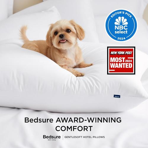 Bedsure King Size Pillows Set of 2 - King Size Bed Pillows 2 Pack for Sleeping, Soft and Supportive, Hotel Quality, Original Down Alternative Filling for Side, Back Sleepers