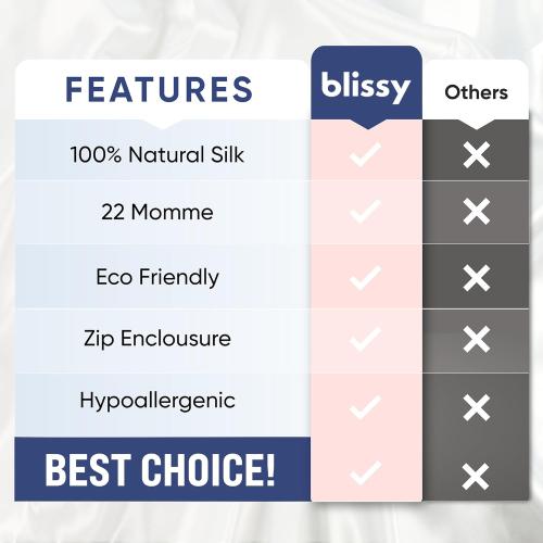 Blissy Silk Pillowcase - 100% Pure Mulberry Silk - 22 Momme 6A High-Grade Fibers - Silk Pillow Cover for Hair & Skin - Regular, Queen & King (Color White, Standard)