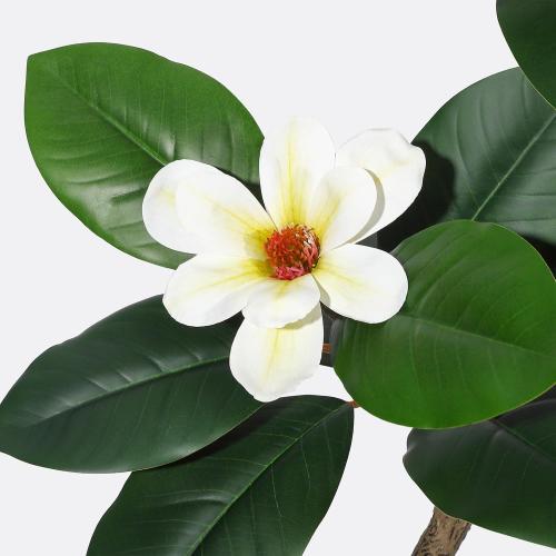 Size 5ft Rubber Tree 5FT Artificial Tree in White Planter Pot,Faux Plants Indoor Faux Floor Plant Artificial Plants with 7 Pcs Magnolia Flowers for Home Decor, Artificial Fiddle Leaf Fig Tree for Office