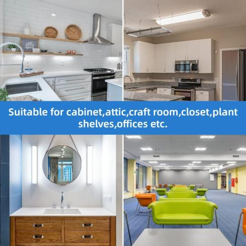 2FT T8 LED Tube Light,12W(30W Equivalent),Type A B Plug & Play or Ballast Bypass,1560LM,Led Replacement F20T10 T20T12 Flourescent Tube,5000K, Dual Ended Power, Clear Cover(4-Pack)