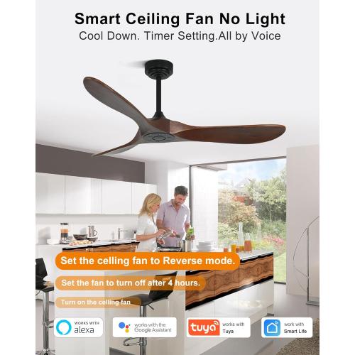 Ceiling Fan without Light, Smart Wood Ceiling Fan