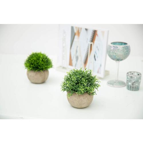 Velener 2Pcs Mini Artificial Boxwood Topiary Faux Plants Indoor- Small Fake Plants Decor Magnolia Home Office Desk Cubicle Farmhouse Kitchen Bookshelf Bedroom Bathroom Decor, Aloe Vera Zen Garden