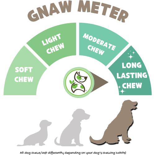 Nature Gnaws Large Bully Sticks for Dogs 11-12 (10 Count) - Thick Long Lasting for Aggressive Chewers and Large Dogs - Natural Beef Dog Chew Bones